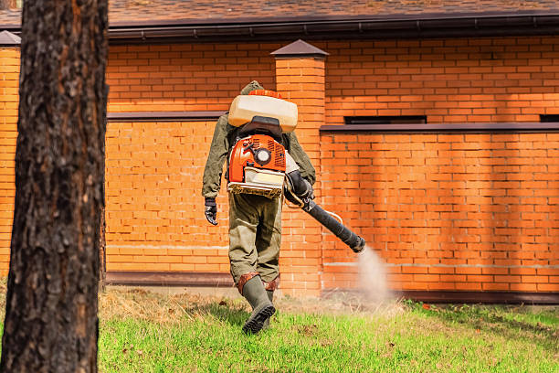 Trusted Rodent Control service in Paragould, AR - Nex Pest Control